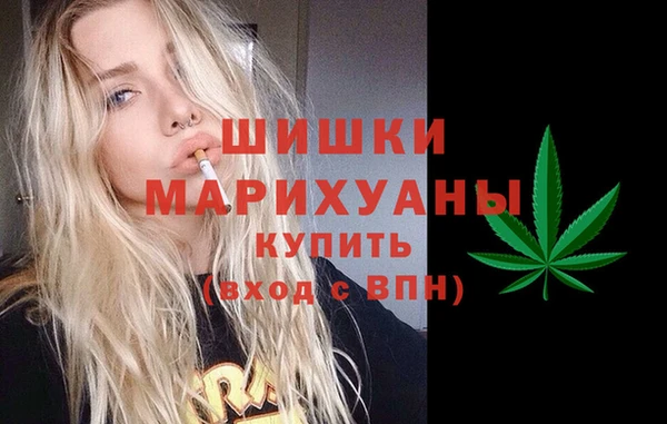 молекула духа Дмитриев