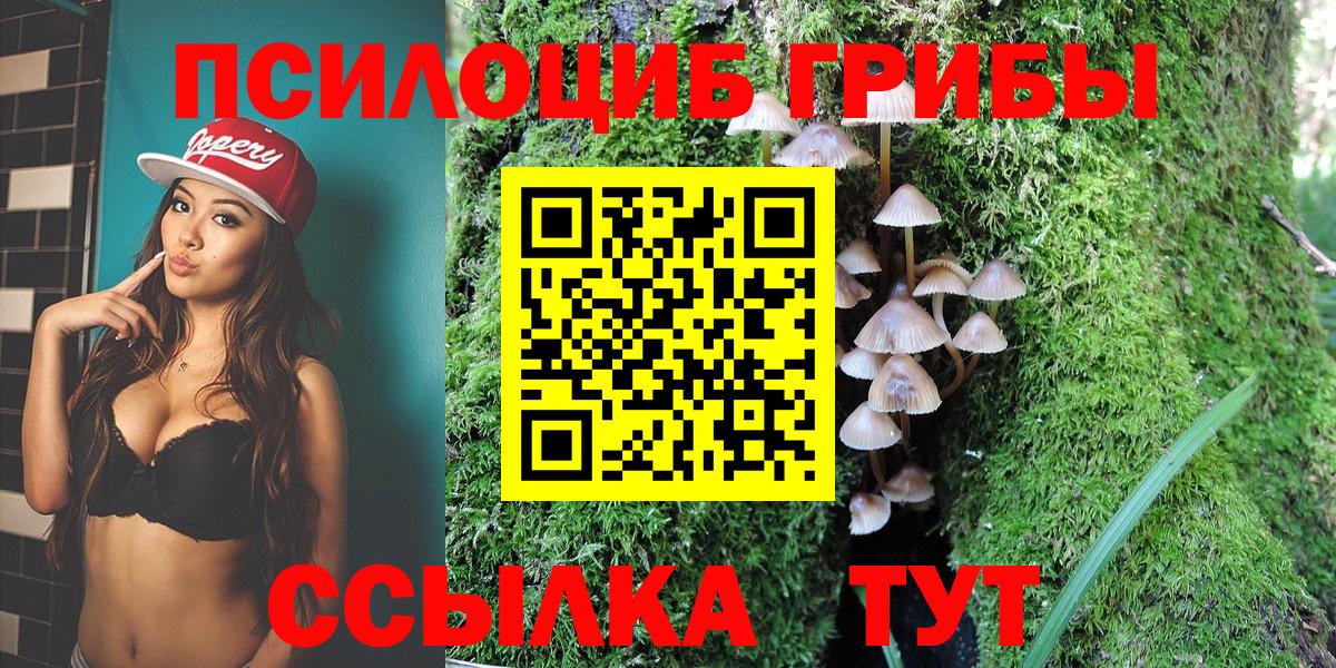 Галлюциногенные грибы Cubensis  Вход с VPN  даркнет сайт  Севастополь 